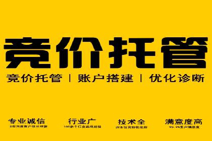 sem竞价推广托管实战案例：广告投放效果显著提升